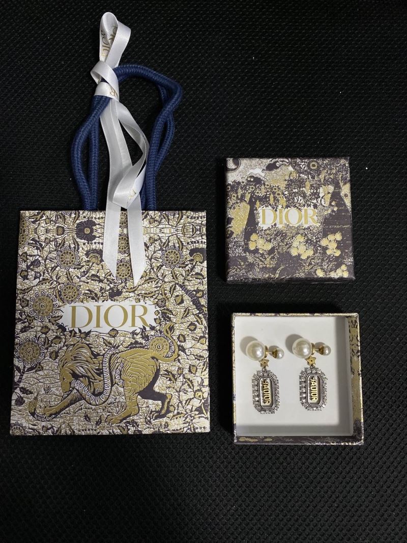 Christian Dior Earrings